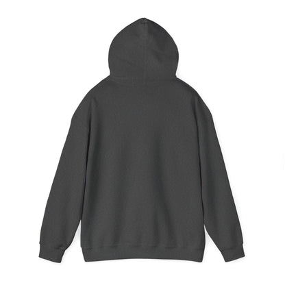 Unisex Heavy Blend Bayou Hooded Sweatshirt